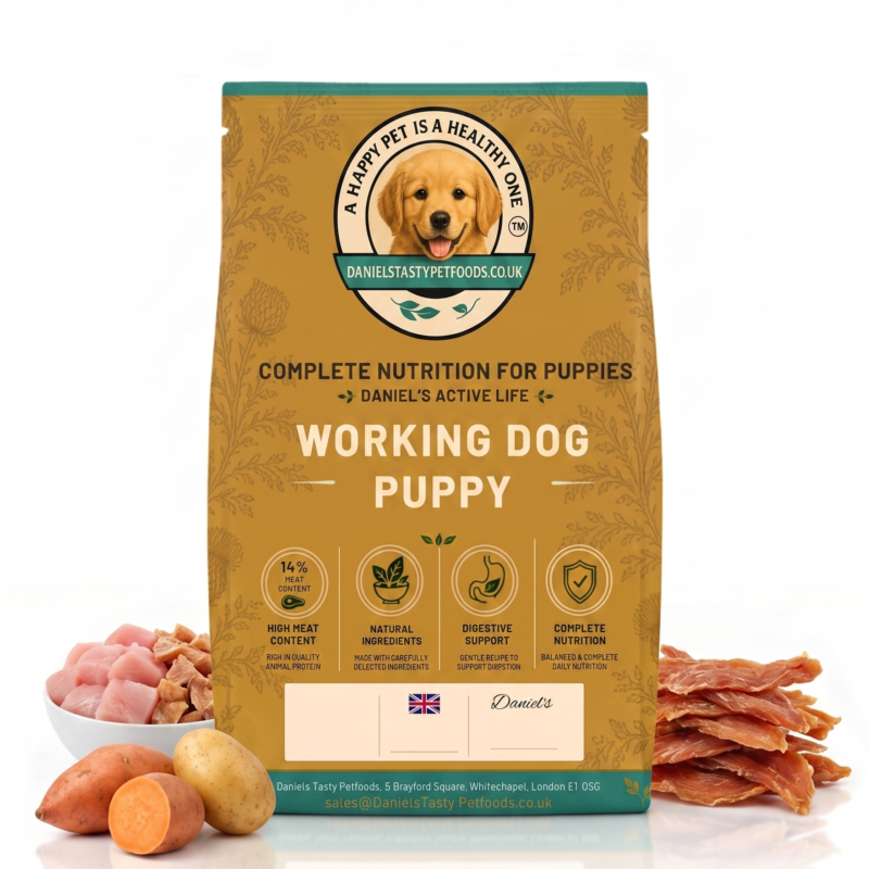 Working Dog Puppy